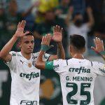 Assessoria/Palmeiras