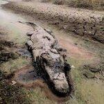 Situação da seca no Pantanal nos últimos anos.