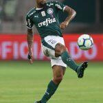 Foto: Cesar Grego/ Ag. Palmeiras