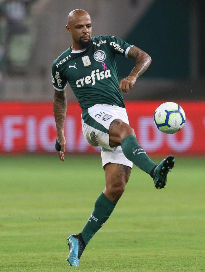 Foto: Cesar Grego/ Ag. Palmeiras