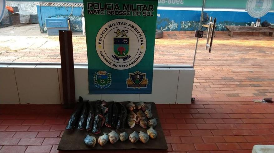 Divulgação PMA