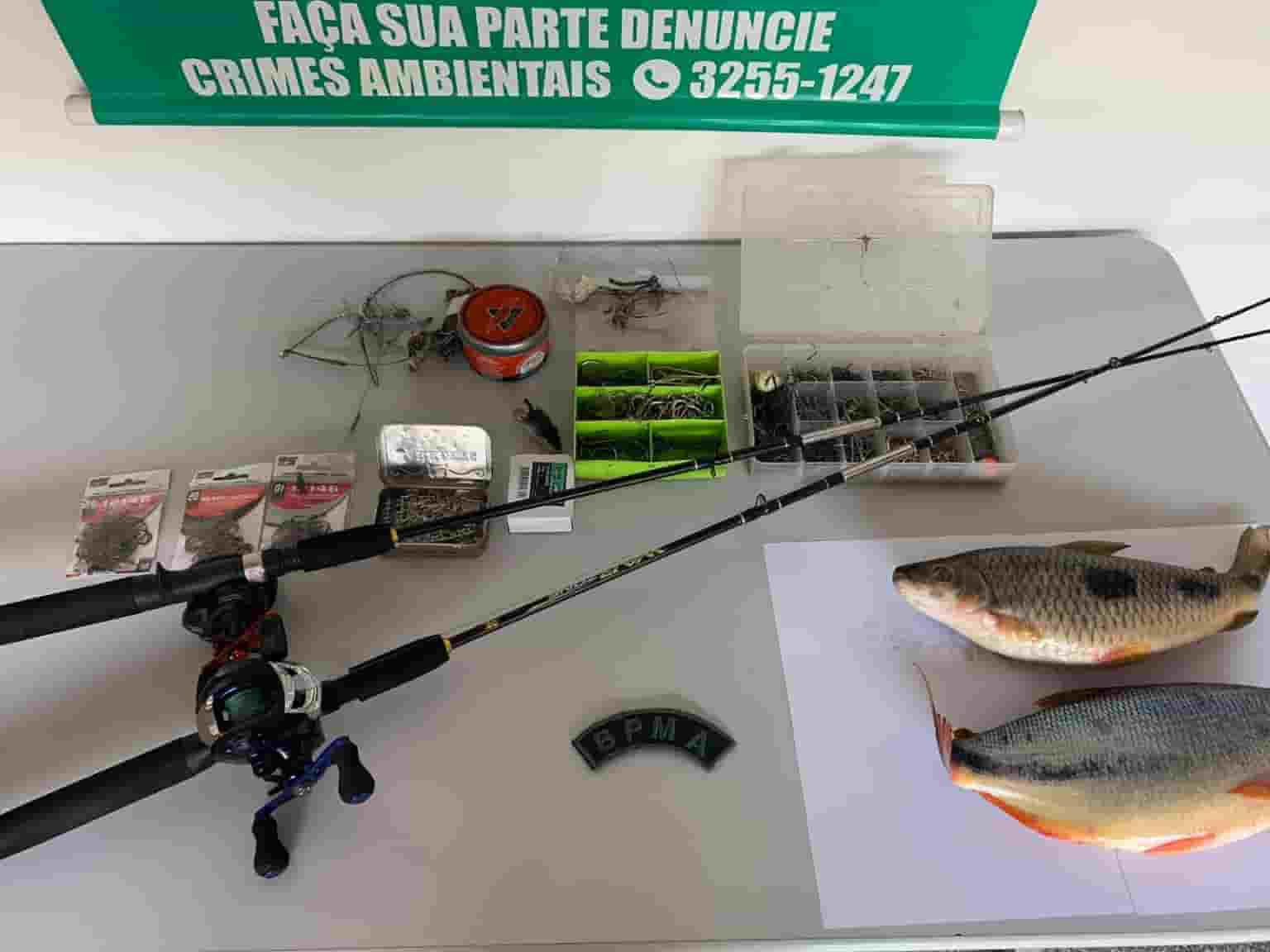 O pescado será doado para instituições filantrópicas