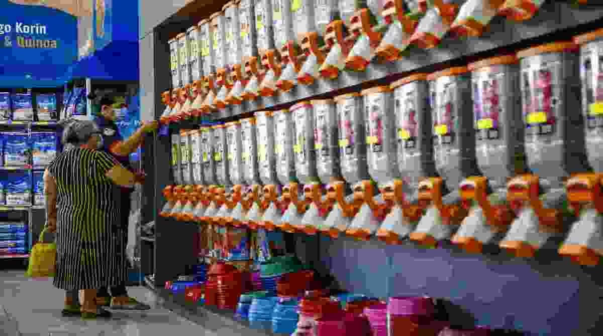 Preço dos alimentos para cães aumentou desde o início de 2021