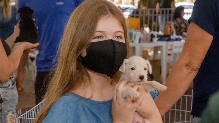 Animais vão poder ganhar um novo lar