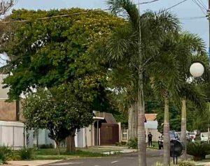 Agentes estiveram em uma residência na Rua Sérgio Luiz