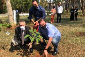 Deputados plantaram ipê-roxo no jardim da Alems