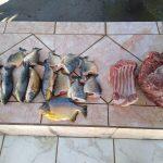 Pescado abaixo do tamanho regular e carne de animal silvestre foram apreendidos (Foto: Divulgação/PMA)