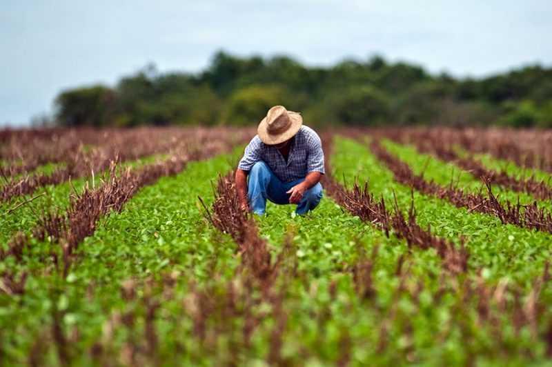 Foto: Reprodução/icms
