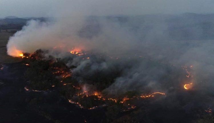 Área queimada em Mato Grosso do Sul. (Divulgação