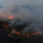 Área queimada em Mato Grosso do Sul. (Divulgação