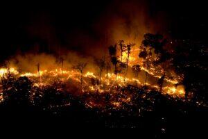 Foto: Daniel Beltra/Greenpeace