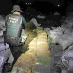Fardos de maconha estavam escondidos entre sacos de ração