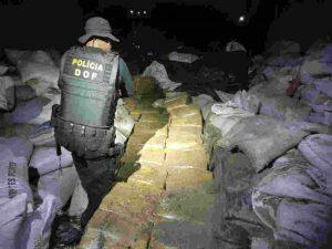 Fardos de maconha estavam escondidos entre sacos de ração