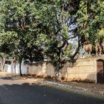 Bairro preserva características arquitetônicas e arborização