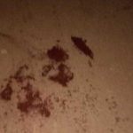Rixa antiga por assassinato faz homem ser baleado por dupla em motocicleta