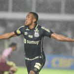 Assessoria/Santos