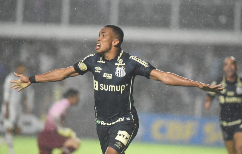 Assessoria/Santos