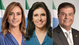 Senadores de Mato Grosso do Sul. (Foto: Senado Federal)