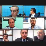 Deputados de MS durante sessão remota nesta terça-feira (28)
