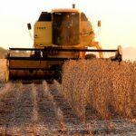 Commodities como a soja tiveram alta na semana (Divulgação/Governo de MS)