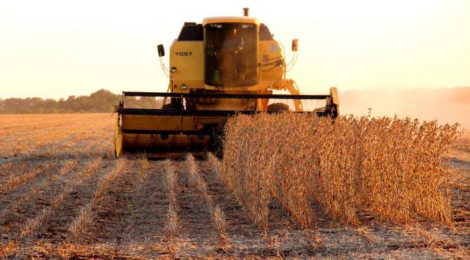 Commodities como a soja tiveram alta na semana (Divulgação/Governo de MS)