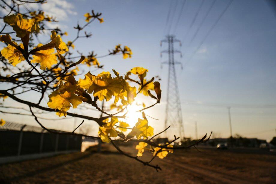 Massa de ar seco castiga população com temperaturas elevadas