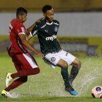 Fabio Menotti/Ag. Palmeiras/Divulgação