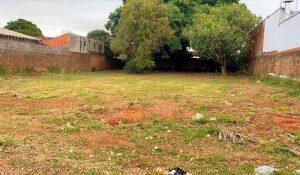 Um dos terrenos leiloados pela SAD em Nova Andradina
