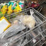 Produtos impróprios para consumo foram descartados pelo Procon-MS (Foto: Divulgação/Procon/MS)