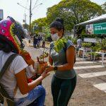 Doação de mudas ocorre na manhã deste sábado (25)