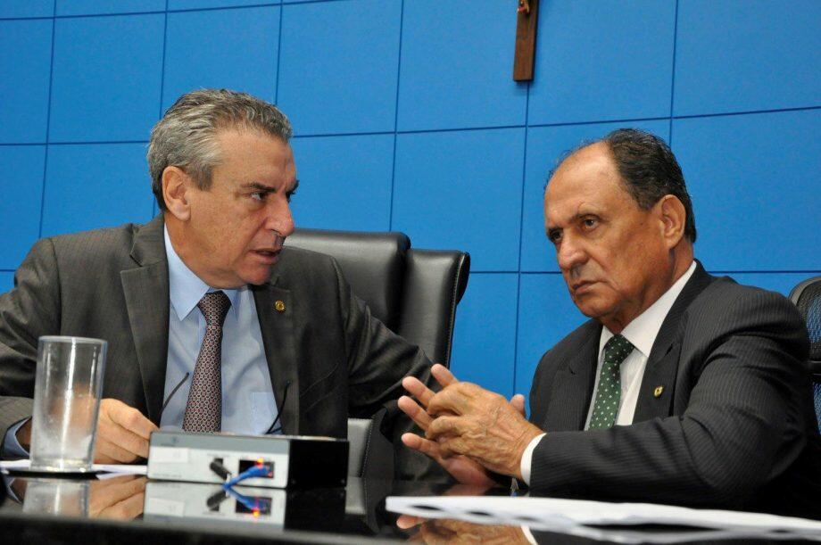 Projeto de Lei foi apresentado pelo deputado Zé Teixeira e aprovado em plenário. (Foto: Luciana Nassar/ ALMS)