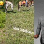 Leandro tem longa carreira