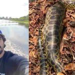 Renato Goes no Pantanal de MS