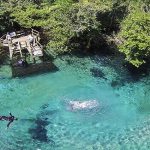 Um dos trechos de rio cristalino em Bonito.