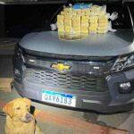 Cocaína foi apreendida na casa do assessor