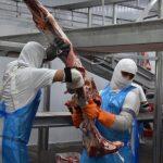 Exportação de produtos de frigorífico estiveram entre as mais citadas na receita.