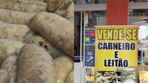 Carnes estavam até com moscas