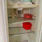 Crianças estavam há um dia sem comida