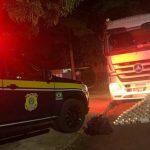 Droga foi apreendida no caminhão