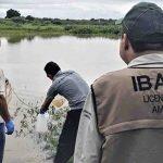 São mais de 500 vagas de emprego em todo o país