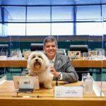 Deputado distrital Daniel Donizet leva seu cachorro Beethoven para o CLDF