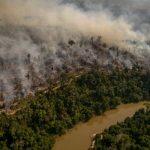 O governo brasileiro trata com desconfiança o interesse de potências estrangeiras na preservação da Amazônia
