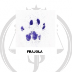 Patinha de Frajola nas alegações finais