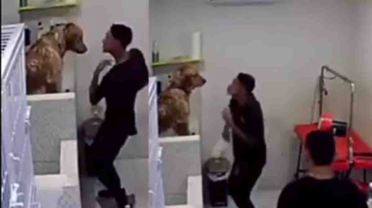 Cenas chamaram atenção nas redes sociais
