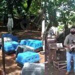 Equipes durante apreensão dos animais nesta terça-feira