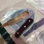 Arma usada no crime foi apreendida pela polícia