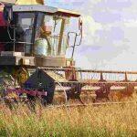 Empresas de Dourados ofertam 35 vagas só para operador de máquinas agrícolas