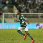 Assessoria/Palmeiras