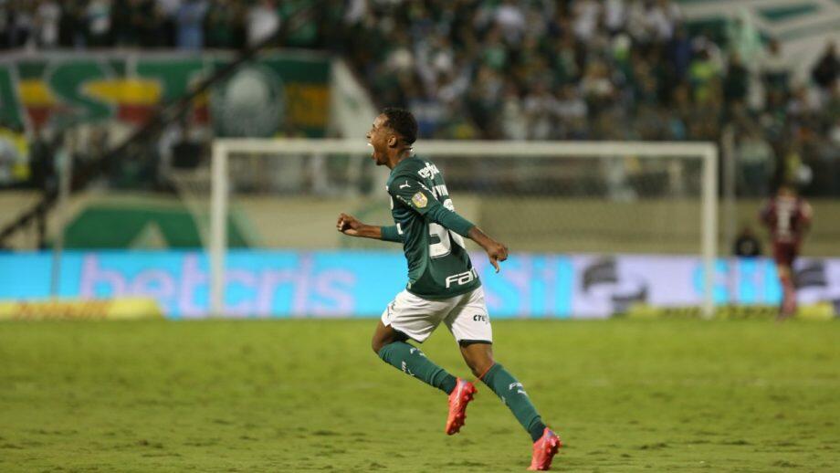Assessoria/Palmeiras
