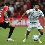 Assessoria/Palmeiras